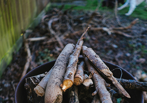 Cleanup & Leaf Removal