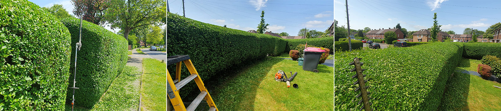 Hedge Trimming in Salford, Manchester